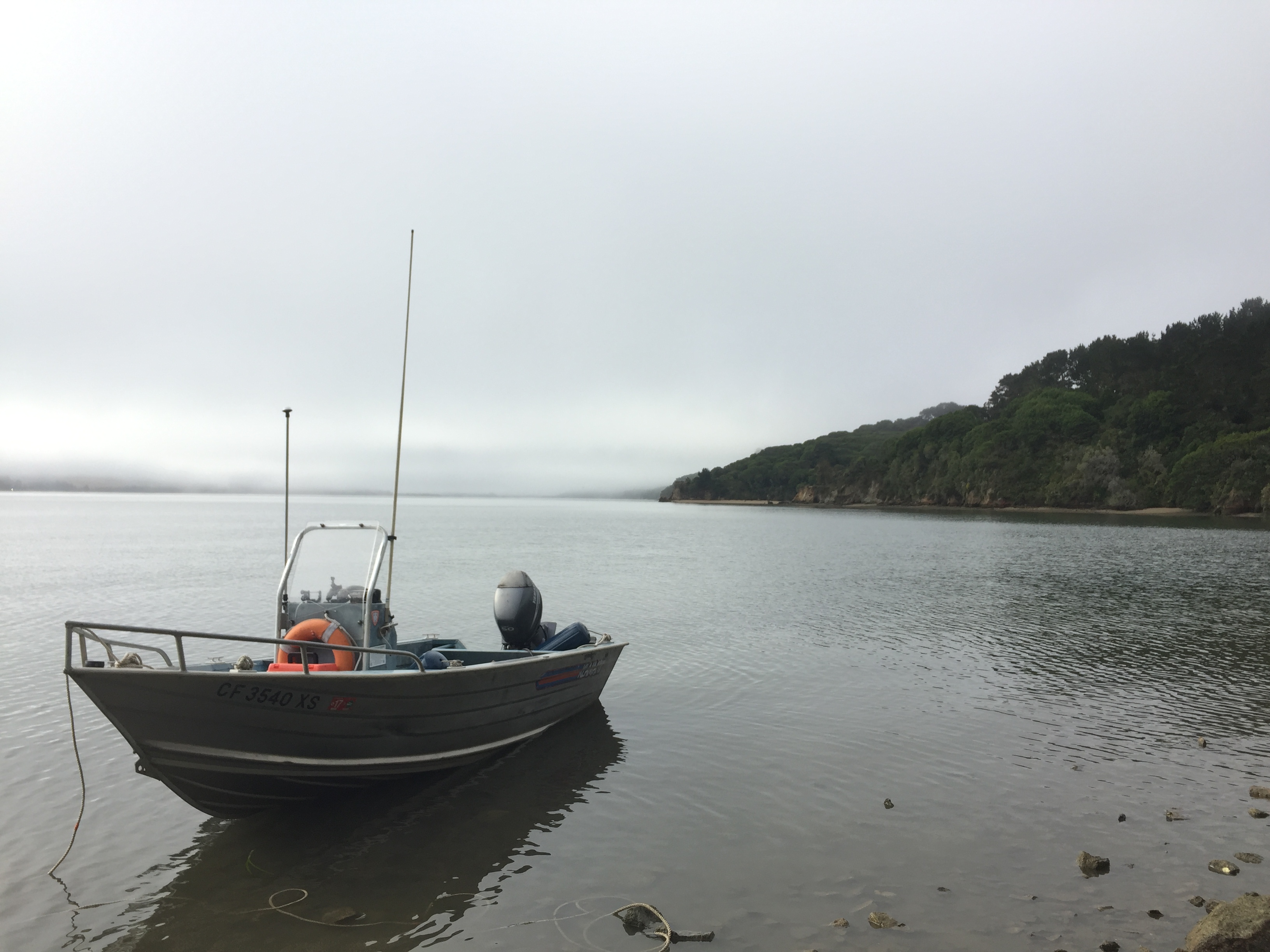 Oceanic Fieldwork